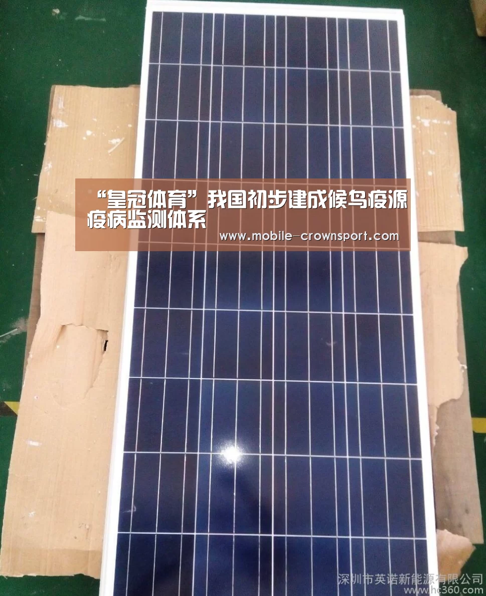 “皇冠体育”我国初步建成候鸟疫源疫病监测体系(图1) 皇冠体育app