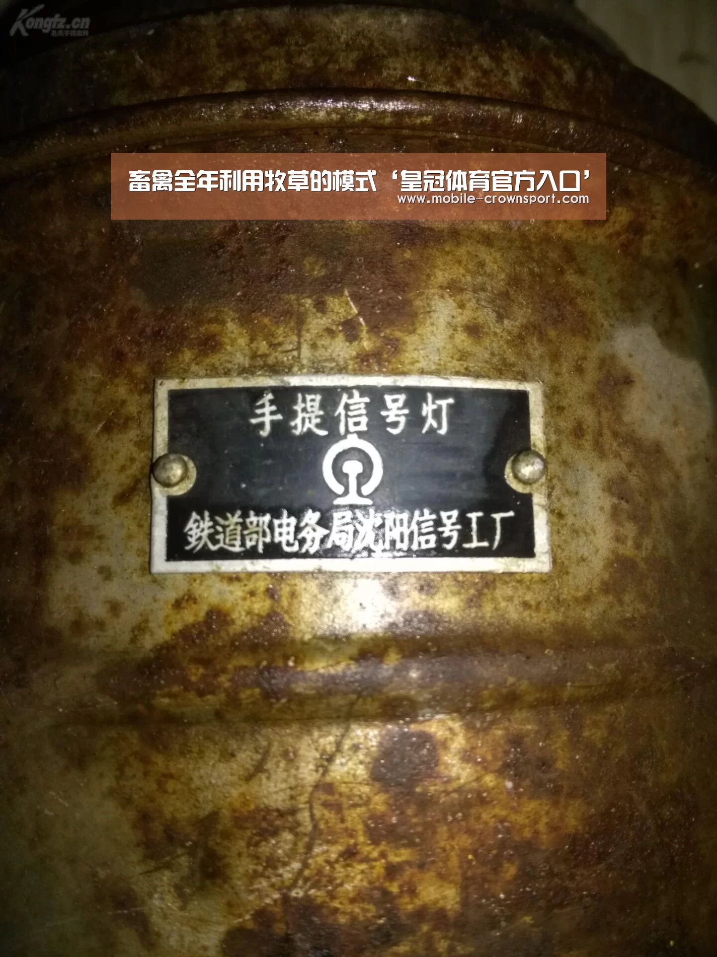 畜禽全年利用牧草的模式‘皇冠体育官方入口’(图2) 皇冠体育下载