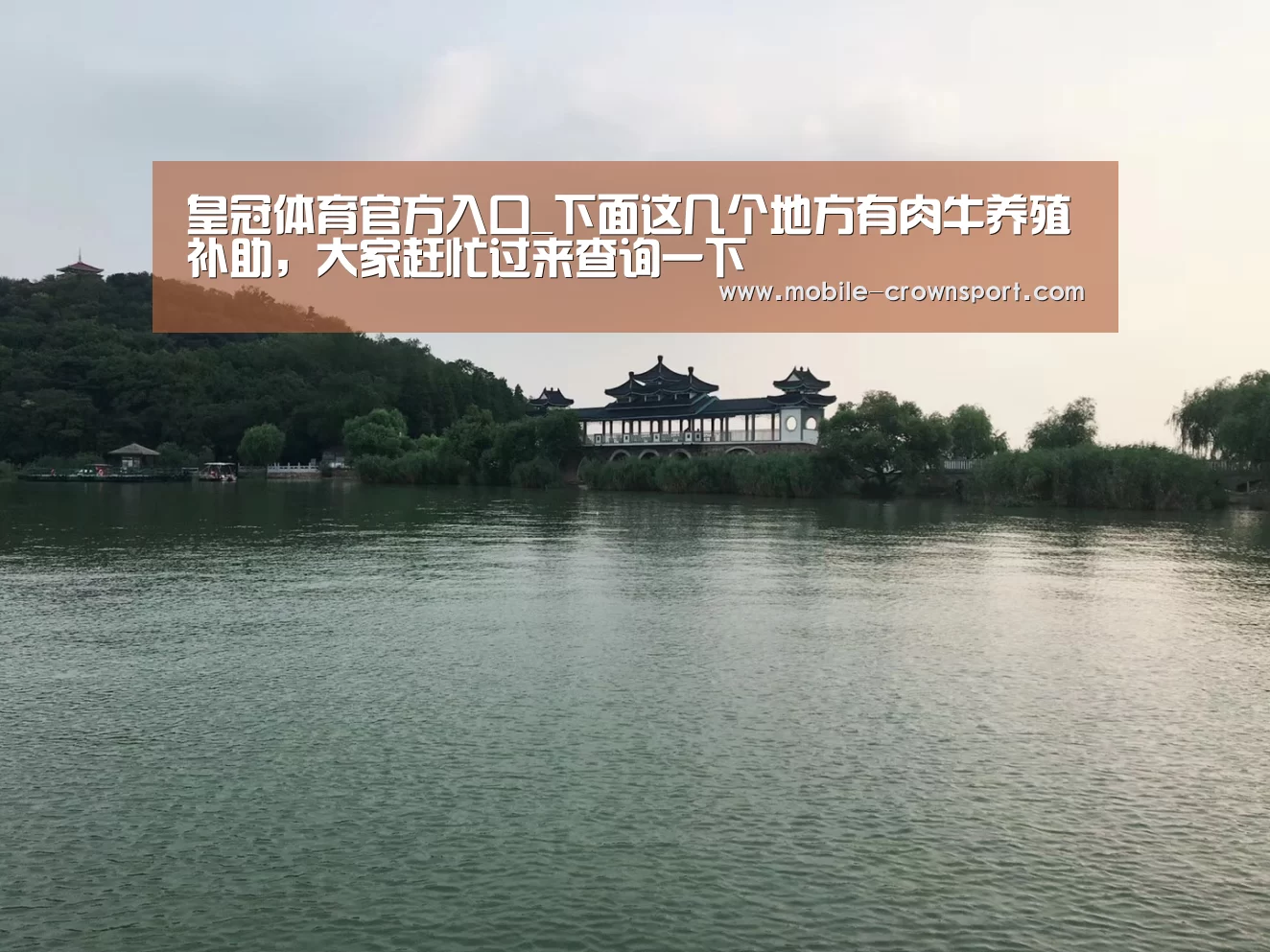 皇冠体育官方入口_下面这几个地方有肉牛养殖补助,大家赶忙过来查询一下(图1) 皇冠体育app